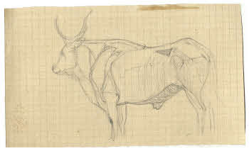 Visualizza l'immagine "FD D 248"